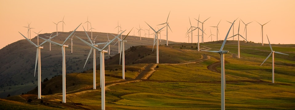 해외 RE100 기업 벤치마킹 투어